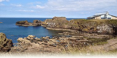 Dunbar-image Dunbar image